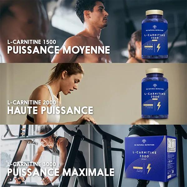  l carnitine       