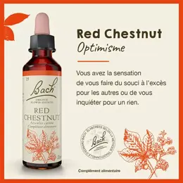 Fleurs de Bach® Original - Red Chestnut 20ml