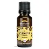 Biofloral 09 Clematis Clematite Granules Bio Fleur De Bach Granules 19,5 Gr