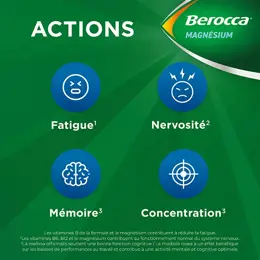 Berocca® Magnésium Fatigue/nervosité Mémoire/Concentration Program express 14j 14 sachets