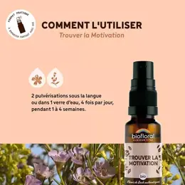 Biofloral Trouver La Motivation Spray Bio Demeter Spray Emotions 20 Ml