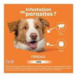 Clement Thekan Fiprokil Anti-Puces Anti-Tiques Chien 2-10kg 4 pipettes