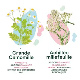 Naturactive Règles Douloureuses Crampes Abdominales Bio 30 gélules végétales