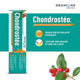 Granions Chondrostéo Gel de Massage 100ml