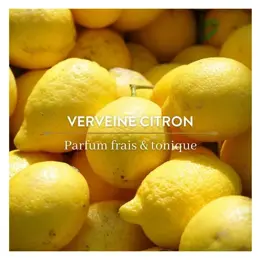 Le Petit Olivier - Déodorant - Verveine Citron - Efficacité 24h 50ml