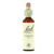 Bachblüten Clematis 20ml