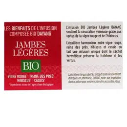 Dayang Infusion Bio Jambes Légères 20 sachets