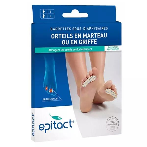 EPITACT strisce sotto donna epitelio della diafisi