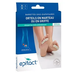 EPITACT strisce sotto donna epitelio della diafisi