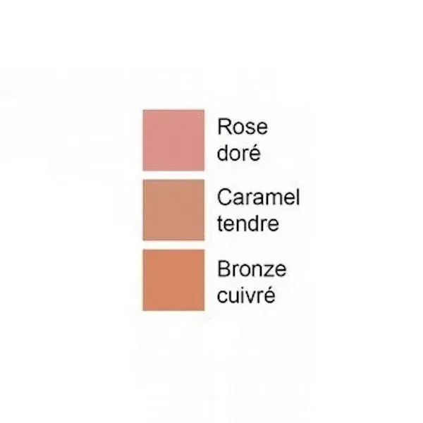 La Roche Posay Toleriane blush rosa oro 02 5 g