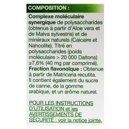 GANatura 100% Naturel Brûlures d'Estomac et Digestion Difficile - 14 Comprimés