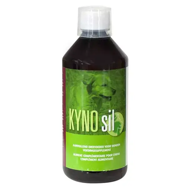 B+ Pharma KynoSil Articolazioni e Mobilità del Cane 500 ml