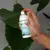 Pranarom Aromaforce Spray Assainissant Ravintsara Tea Tree Bio 75ml