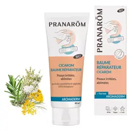 Pranarom Cicarom Baume Réparateur Bio 40ml