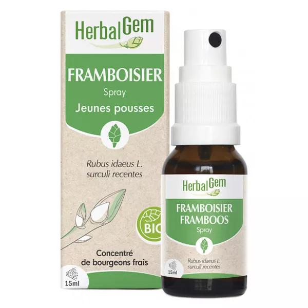 Herbalgem Framboisier spray Bio 15ml