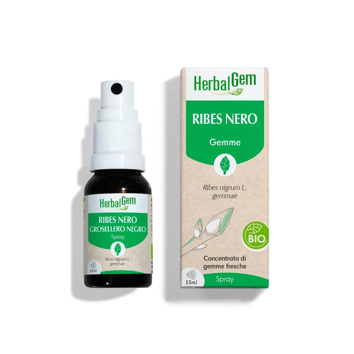 HerbalGem Ribes Nero Bio Integratore con Gemmo Concentrata 15 ml