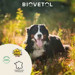 Biovetol -  Comprimés Régul'Transit Chien - 20 comprimés