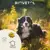 Biovetol -  Comprimés Régul'Transit Chien - 20 comprimés