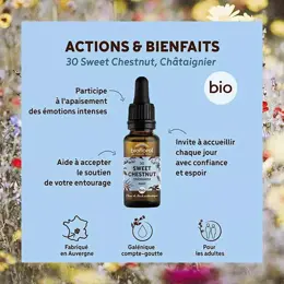 Biofloral Fleur De Bach 30 Sweet Chestnut Chataignier Compte Gouttes Bio 20 ml