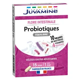 Juvamine Probiotiques 15 gélules