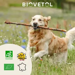 Biovetol - Comprimés Mobil'Activ - Confort Articulaire Chien - 30 comprimés