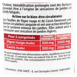 Juvamine Vigne Rouge Cassis 90 comprimés