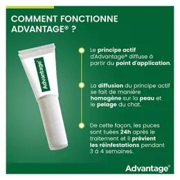 Advantage Solution Antipuce Chat Lapin 1 à 4kg 6 pipettes