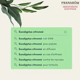 Pranarom Huile Essentielle Eucalyptus Citronné 10ml