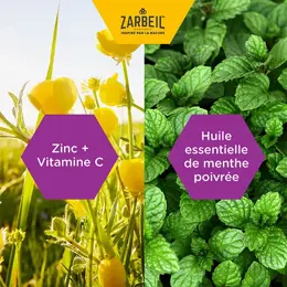 Zarbeil Gorge & Immunité Complément Alimentaire 24 Pastilles à Sucer