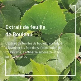 Weleda Détox et Vitalité Jus de Bouleau Bio 250ml