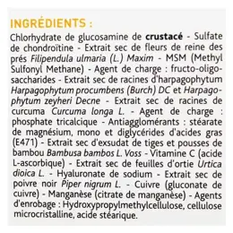 Nutreov Physcience Phytalgic Chondro C+ 60 comprimés