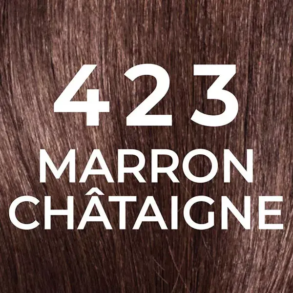L'Oréal Paris Casting Natural Gloss Hair Color 423 Chestnut Brown