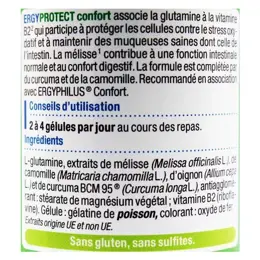 Nutergia Ergyprotect Confort 60 gélules