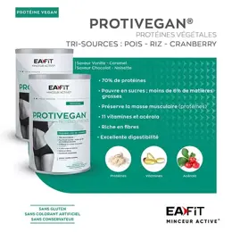 Eafit Protivegan Goût Chocolat Noisette 450g