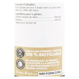 Nat & Form Original Aubier de Tilleul 200 gélules