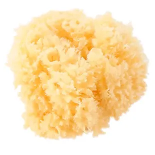 Saro Natural Sponge