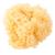 Saro Natural Sponge