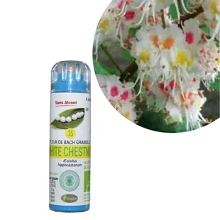 Kosmeo Elisir Fiori di Bach n°35 White Chesnut Bio 130 granuli