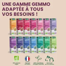 Santarome Bio - Bourgeon Figuier Bio - Gémmothérapie - Flacon de  30ml