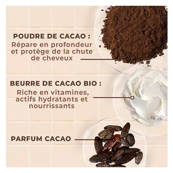 Energie Fruit Cheveux Lait Coiffant Nutri Intense Beurre de Cacao 200ml