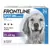 Frontline Spot On Anti-Pest Pipettes for Large Dogs x 4 