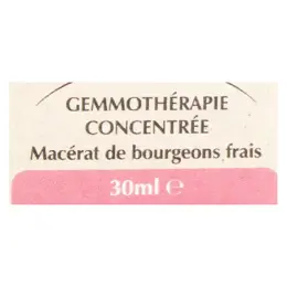 Herbalgem Complexe de Gemmothérapie Sinugem Voies Respiratoires 30ml