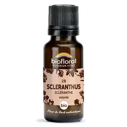 Biofloral 28 Scleranthus Scleranthe Granules Bio Fleur De Bach 19,5 Gr