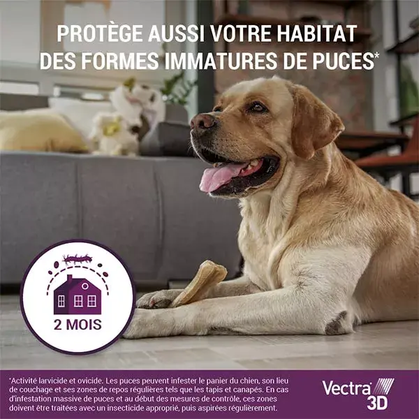 Vectra® 3D solution spot-on pour chiens de 1,5–4 kg 12 pipettes
