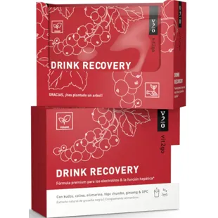 Vit2go Drink Recovery 10x10 gr 10 Envelopes