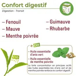 Nutrigée Infusion confort digestif bio 30 sachets fraîcheur