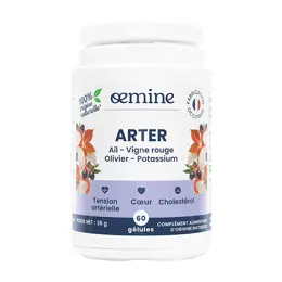 Oemine Arter 60 gélules