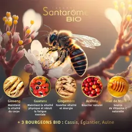 Santarome Bio Ginseng Guarana Acérola Miel de Manuka Bio 20 ampoules