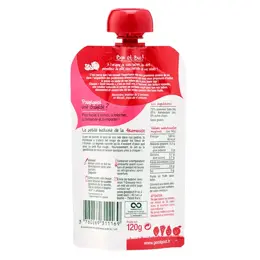 Good Goût Gourde Compote de Fruits Pomme Framboise +4m Bio 120g