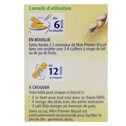 Hipp Bio Mon Goûter Plaisir Mon Premier Biscuit +6m 180g